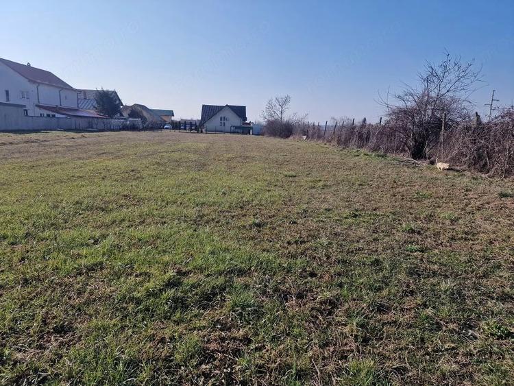 Teren de 2000 mp, în Mărăcineni