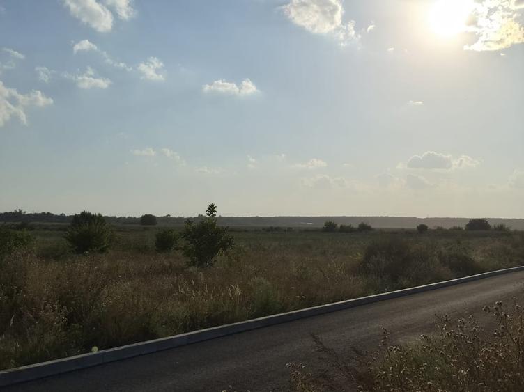 Teren în Berceni