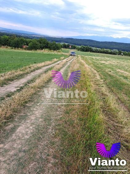 Teren agricol extravilan de 6200 mp, în Rășinari