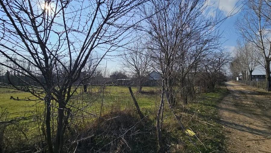 Baicoi -Tufeni, intravilan 6076 mp,2 deschideri - 55000 euro - 2