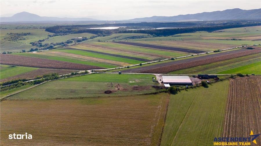 Teren de 18000 mp, în Feldioara