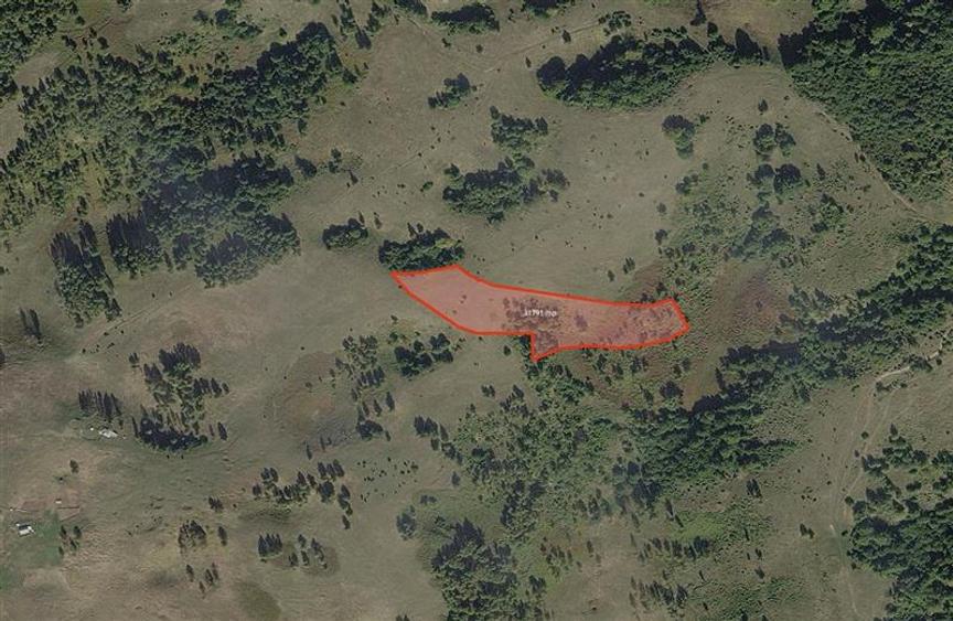 Teren intravilan de 109310 mp, în Cărpinet