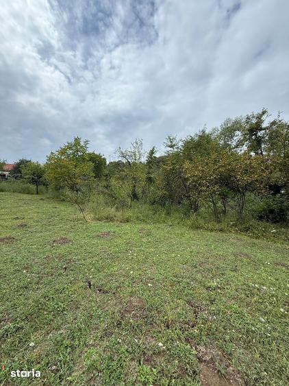 Teren de 3429 mp, în Poiana
