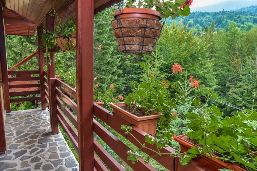 Vila de vanzare in Sinaia - 13