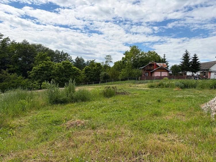Teren de 2200 mp, în Pătrăuți