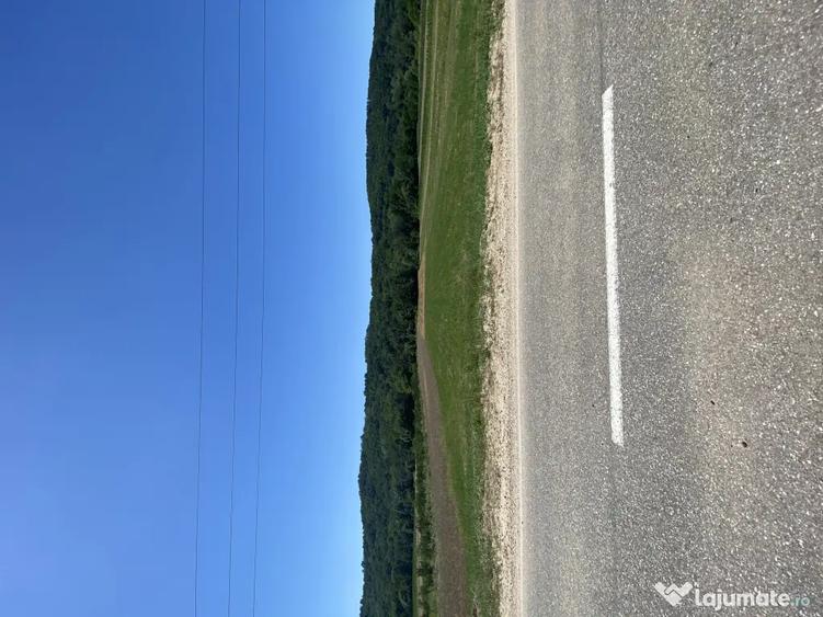 Teren de 9230 mp, în Cocu