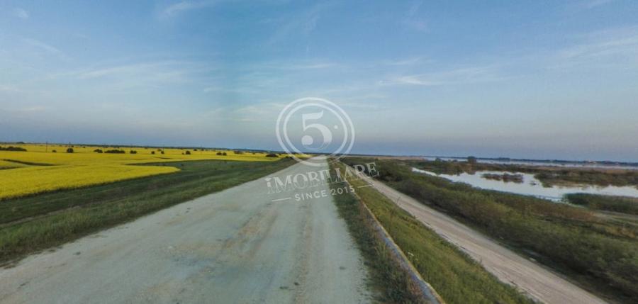 Teren agricol intravilan de 4472 mp, în Cornetu