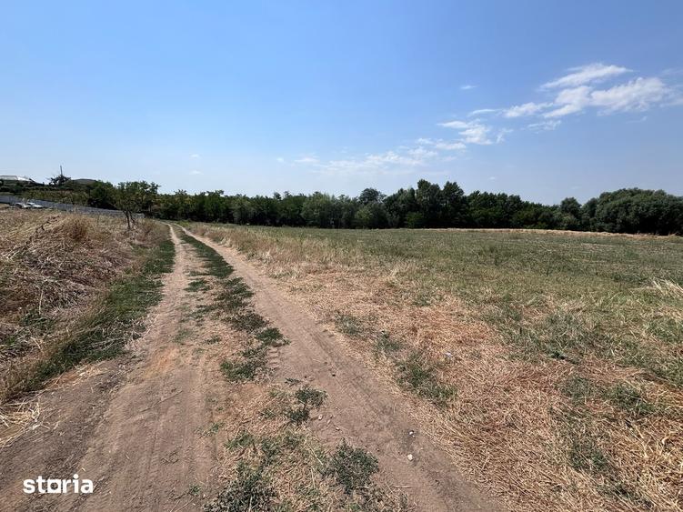 Teren de 2220 mp, în Coșoveni