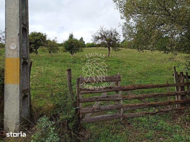 Teren de 12600 mp, în Livezile