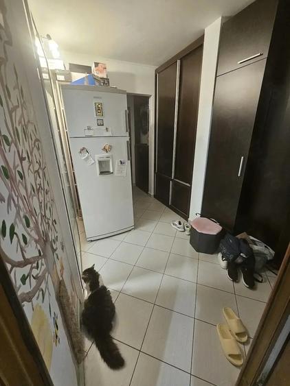 Apartament cu 2 camere decomandat în Ozana