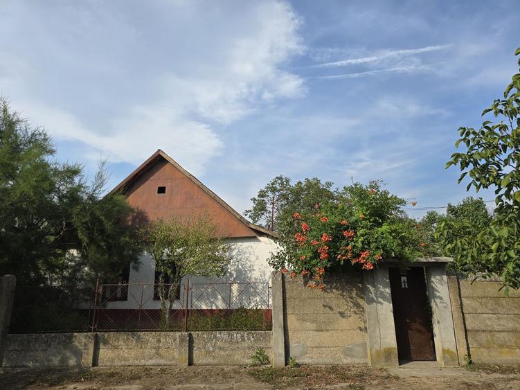 Casă cu 2 camere în Boiu