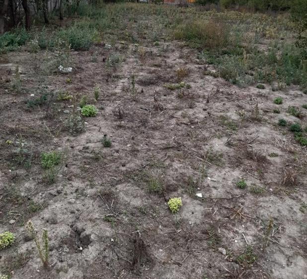 Teren Construcții intravilan de 2000 mp, în Covaci