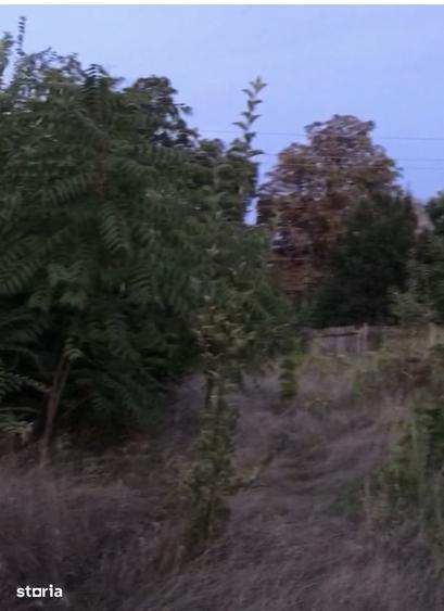 Teren de 1500 mp, în Central
