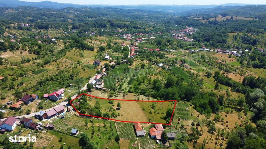Teren de 6041 mp, în Cicănești