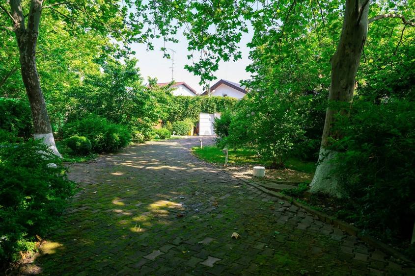 Casă individuală cu 6 camere cu Piscina în Nord