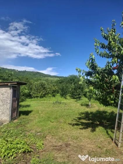 Casă cu 4 camere cu Teren 850 Mp în Coada Malului