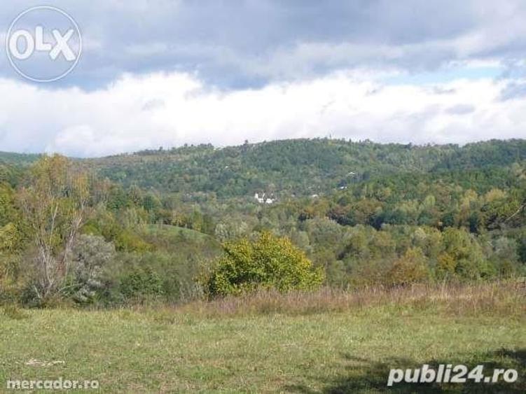 Teren de 3142 mp, în Vulcana-Băi