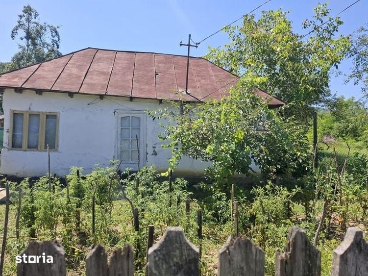 Casa traditionala de vinzare - 3