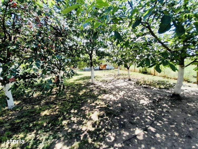 Casă cu 2 camere cu Teren 2870 Mp în Sântandrei