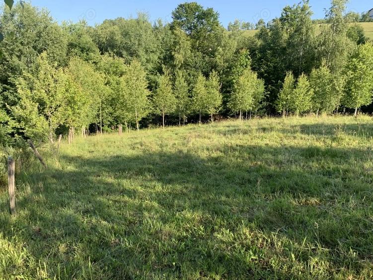 Teren de 4069 mp, în Poiana Mărului