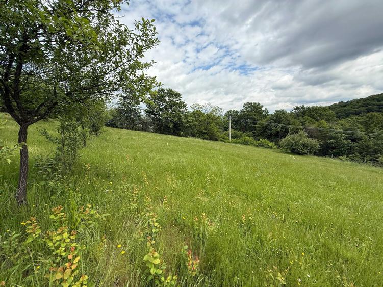 Vand Parcele Teren intre 500-800 mp in Resita in spate la Jandarmerie - 2