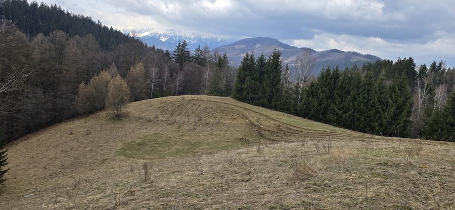 Teren Construcții intravilan de 3040 mp, în Bran