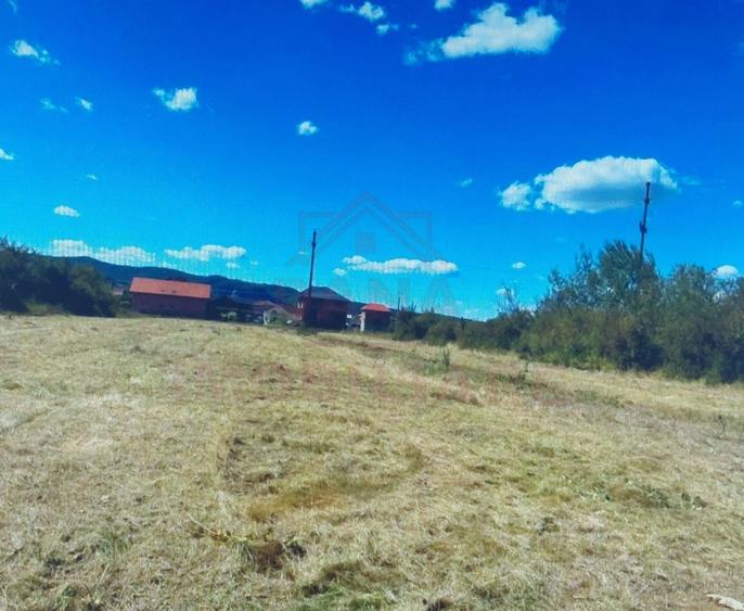 Teren Construcții intravilan de 4900 mp, în Nord-Vest