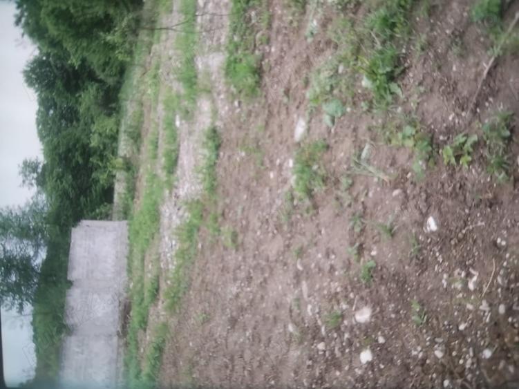 Teren de 1100 mp, în Seaca (Călimănești)