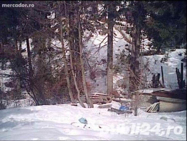 Teren de 417 mp, în Cioplea