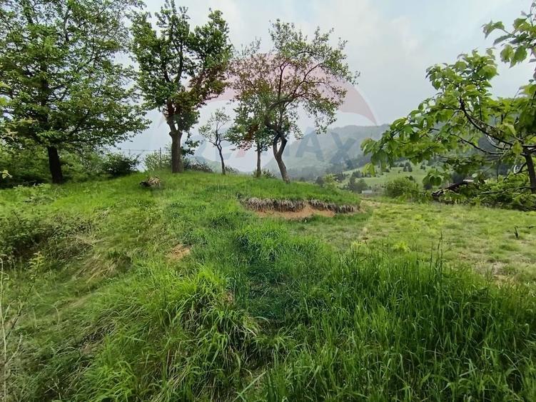 Teren Construcții intravilan de 850 mp, în Turcheș