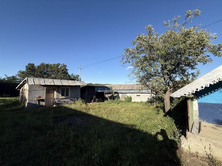 Casă cu 3 camere în Cotnari