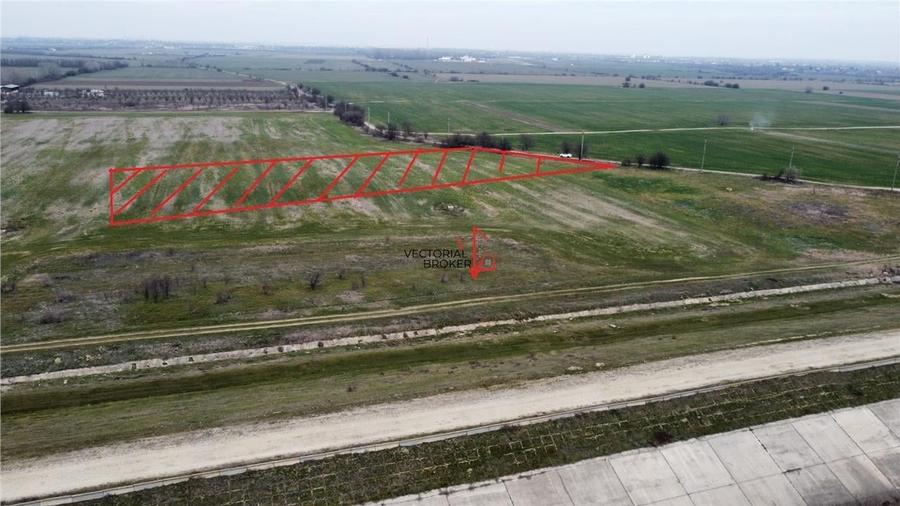 Teren agricol extravilan de 5800 mp, în Cornetu