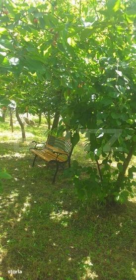 Teren de 1617 mp, în Mintiu Gherlii