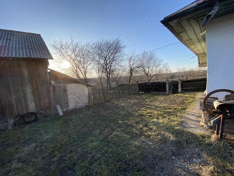 Teren de 2600 mp, în Șerbăuți