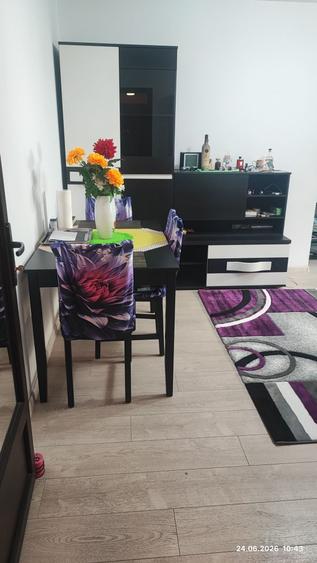 Apartament 2 camere Mihai Bravu - 5