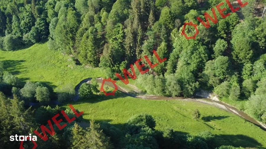 Teren de 57000 mp, în Vama Buzăului