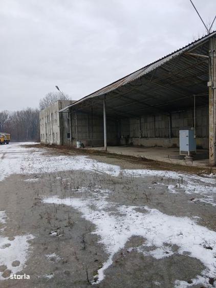 Teren de 22000 mp, în Dragomirești