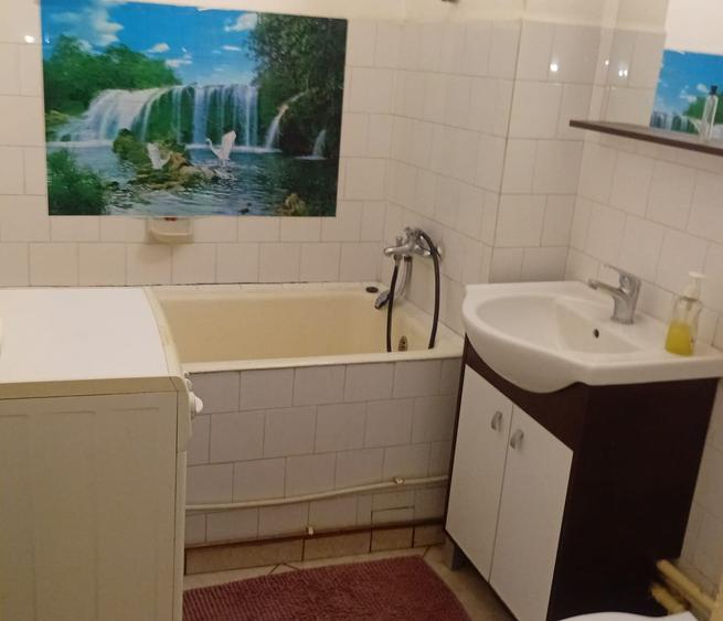De inchiriat apartament cu 2 camere Podgoria - 11