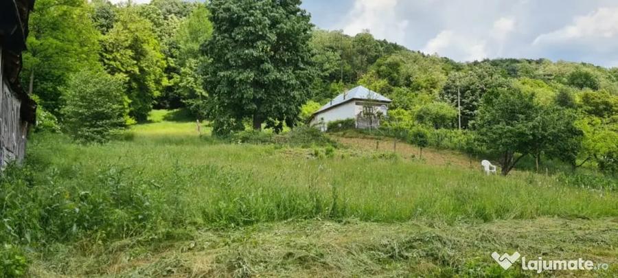 Teren de 7000 mp, în Ștubeie Tisa