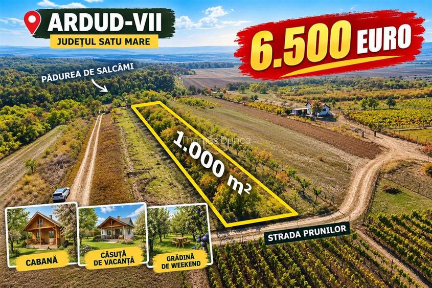 VIDEO | Teren intravilan cu livada – 1.000 m² in Ardud-Vii, cu view spectaculos!