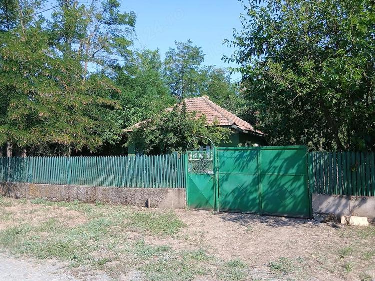 Casă cu Teren 1700 Mp în Dănești
