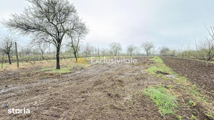 Casă cu 3 camere cu Teren 4108 Mp în Central