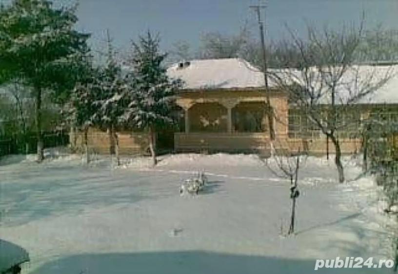 Casă cu 5 camere în Central