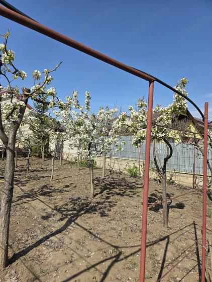 Casă cu 3 camere cu Teren 700 Mp în Șendreni