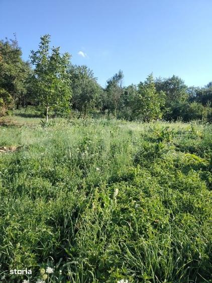 Casă cu 2 camere cu Teren 2111 Mp în Mihai Viteazu