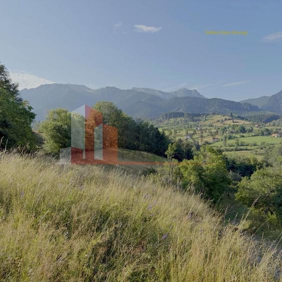 Teren Construcții intravilan de 10398 mp, în Bran