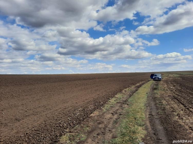 Teren de 30000 mp, în E3