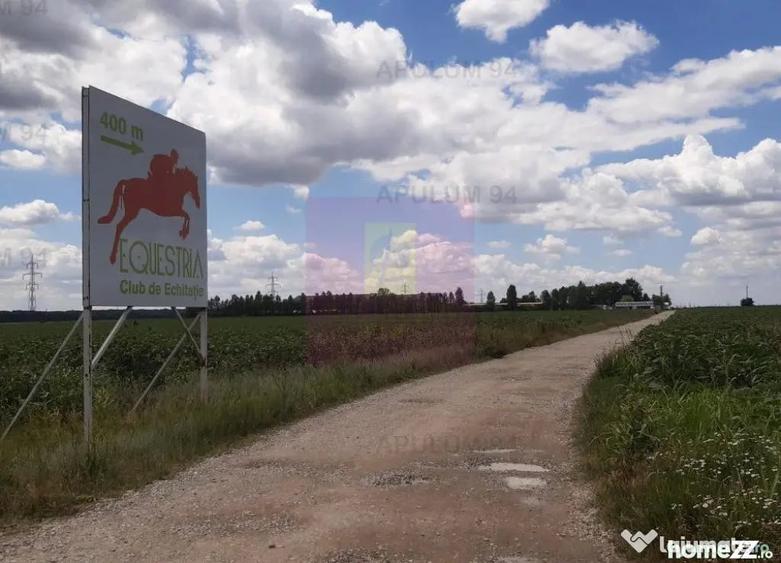 Teren 715mp in Snagov langa Equestria - 6