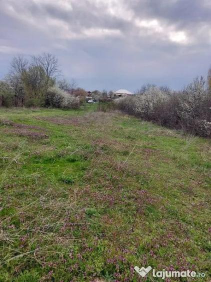 Teren Topoloveni - 3670 mp - langa padure, aproape de Cen... - 5