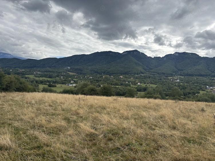 Teren de vanzare 2100 m2 zona Tohanita Zarne?ti - 5